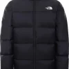 Le moins cher 🛒 VESTE Homme THE NORTH FACE DIABLO DOWN 🎉 Acheter 19