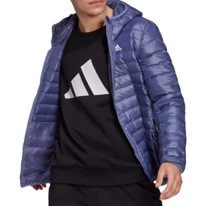 Le moins cher 🔔 All Mountain Homme Adidas Varilite Ho Jkt VIOLET 🎉 vente en ligne pas cher 12